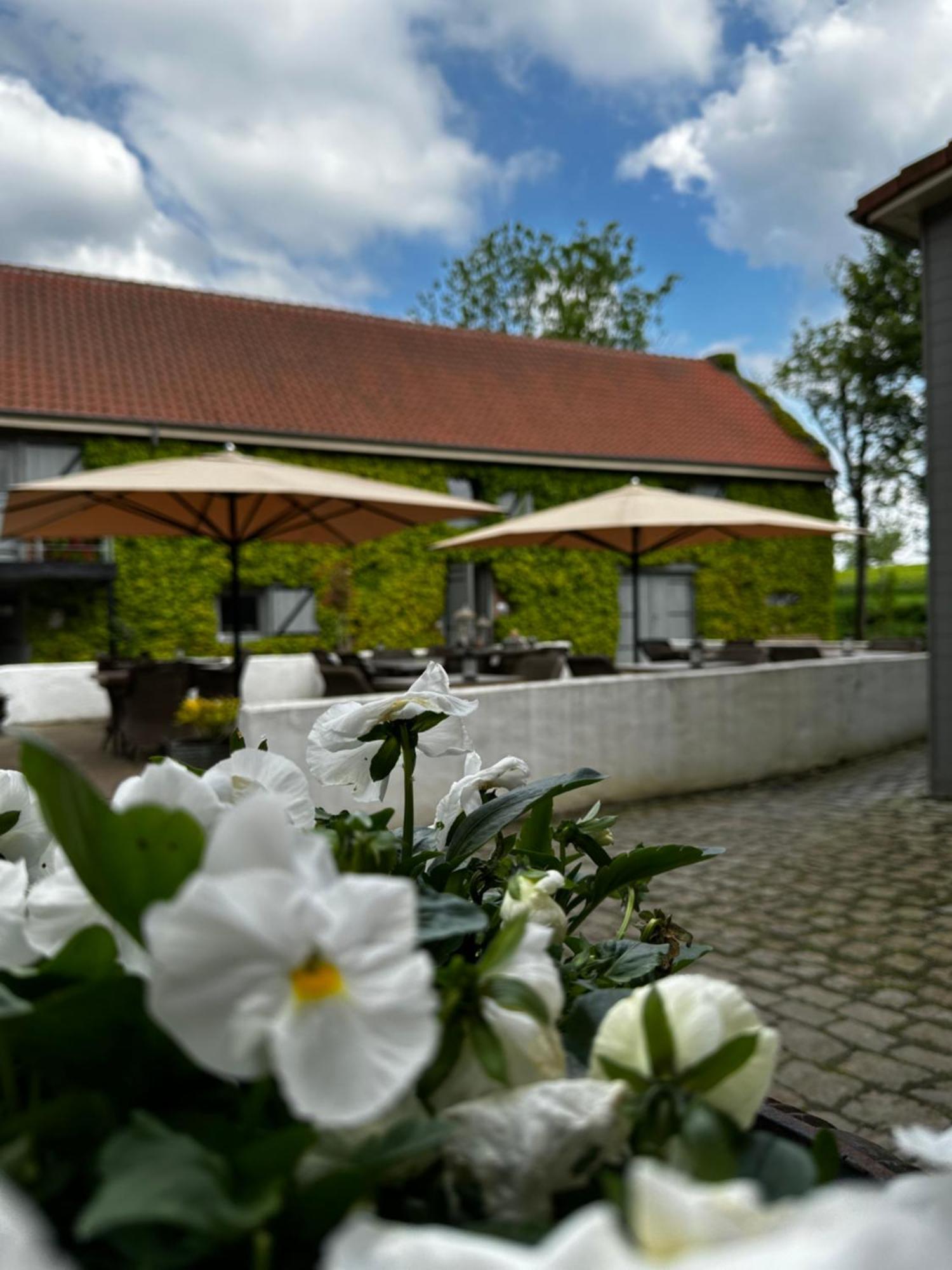 De Verborgen Parel B&B บอร์กโลน ภายนอก รูปภาพ