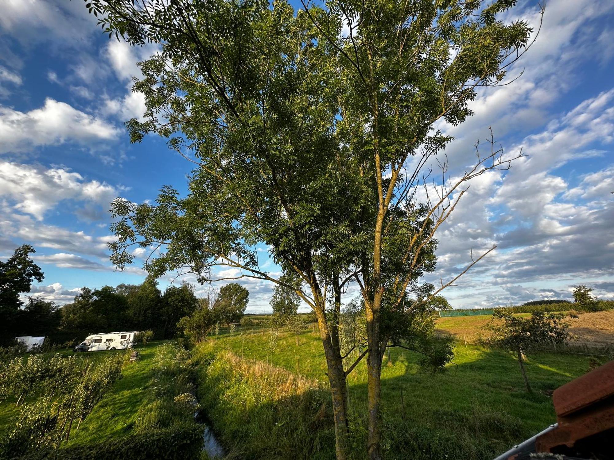 De Verborgen Parel B&B บอร์กโลน ภายนอก รูปภาพ